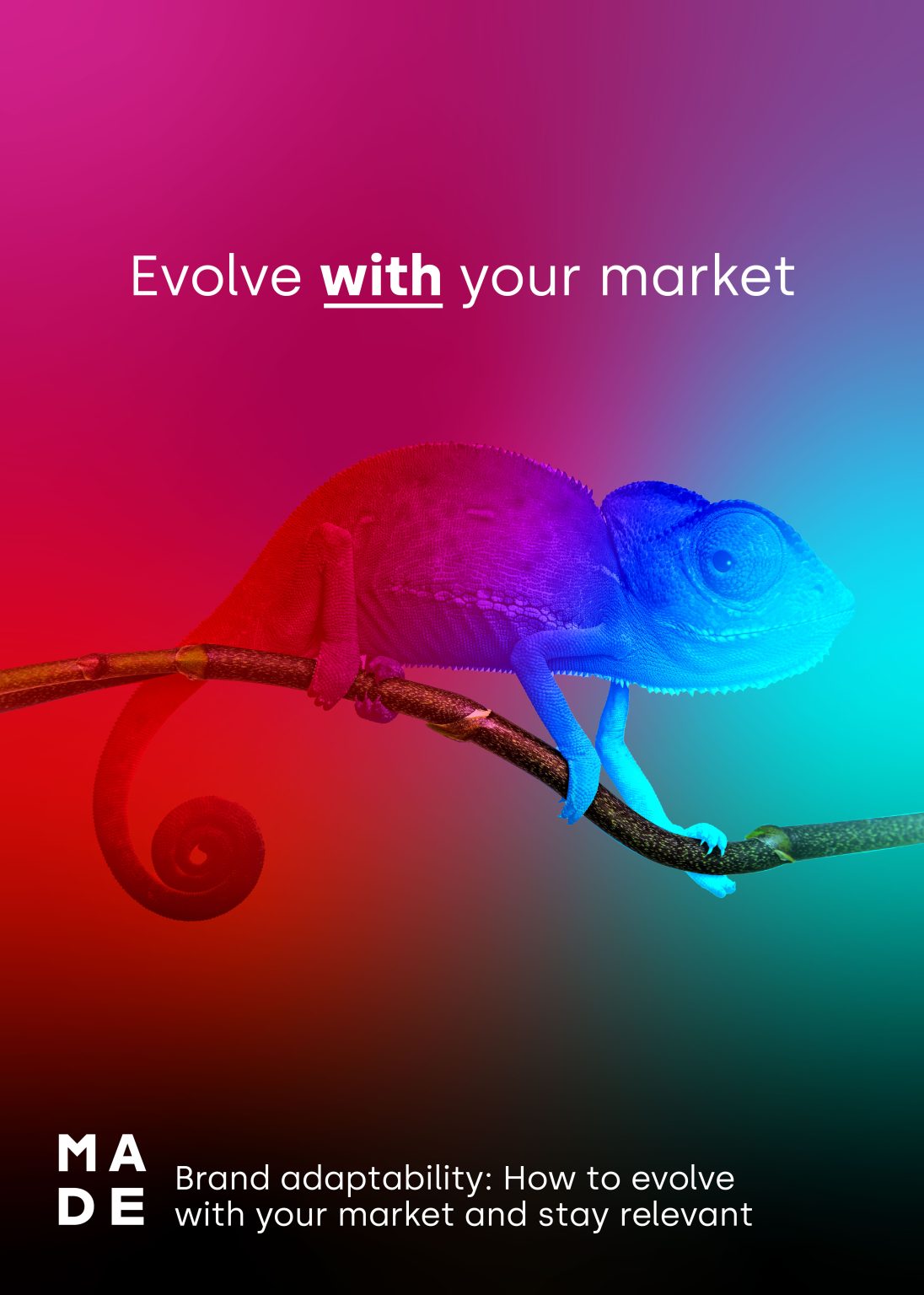 The image is of a chameleon changing colour to match with the background and this link with blog title: brand adaptability: how to evolve with the market and stay relevant
